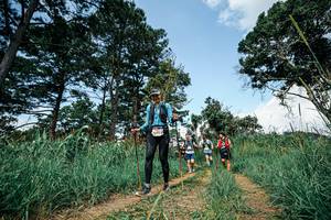 BIB: 
                            <button type="button" onclick="openModal(26041946)" class="btn btn-primary btn-sm float-right btn-popup" data-toggle="modal" data-target=".modal-high-quality">
                        <i class="fas fa-shopping-cart"></i> Add to Cart
                    </button>
                                            <button type="button" onclick="isThisMe(26041946, true)" class="btn btn-success btn-sm float-right btn-popup btn-isme hidden" data-toggle="tooltip" data-placement="bottom" title="นี่คือรูปของคุณใช่ไหม คลิกที่นี่เพื่อเอาเข้าอัลบั้ม">
                        <i class="fas fa-plus"></i> Add to album
                    </button>
                    <button type="button" onclick="isThisMe(26041946, false)" class="btn btn-warning btn-sm float-right btn-popup btn-isnotme hidden">
                        <i class="fas fa-ban"></i> Remove from album
                    </button>